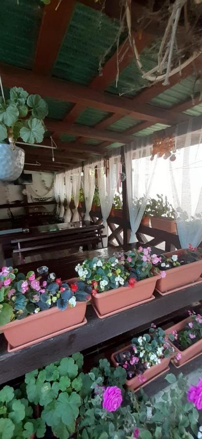 Отель Casa David Сулина Экстерьер фото